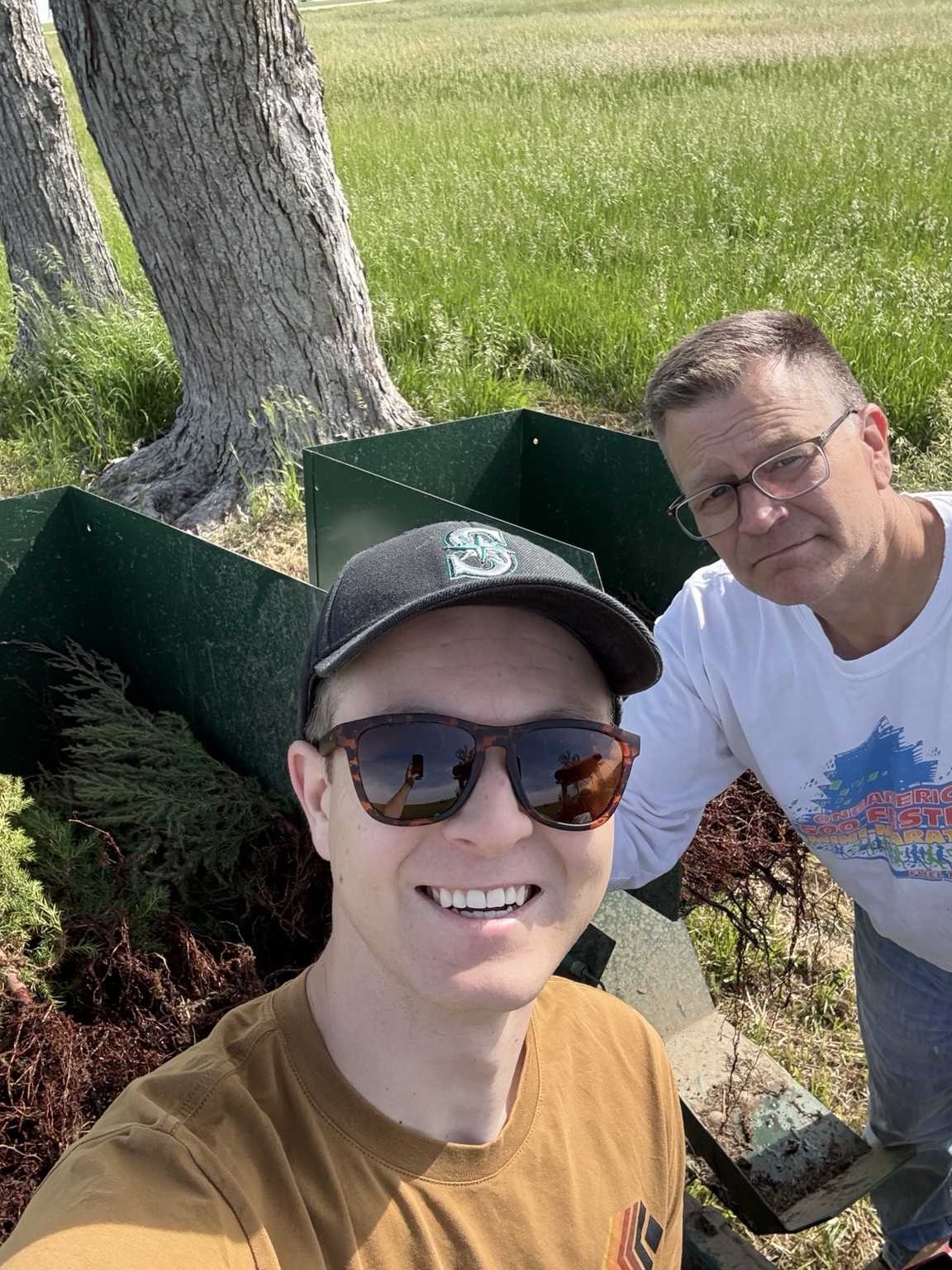 Father and son with crates of evergreen seedlings ready for planting